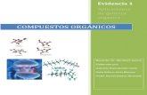 compuestosorganicos-1 (2).pdf