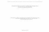 Normas Procedimientos PES 600 act 2010.pdf