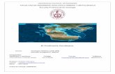 Informe 02 Gondwana - Geología Histórica