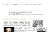 LA NUTRICION EN ANIMALES