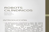 Robots Cilíndricos