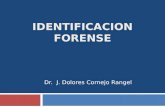 Identificacion Forense (IV)