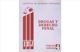drogas y derecho penal.pdf