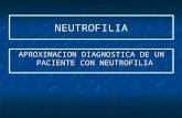 Alteraciones Neutrofilos Eosinofilos y Linfocitos
