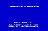 Formulacion Proyecto Mineros REV.5 FINAL