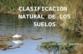 CLASIFICACION NATURAL DE LOS SUELOS