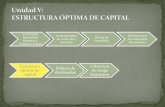 Estructura Optima de Capital