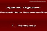 1.3 Aparato digestivo compartimiento supramesolócilo.ppt