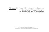 Gestion Financiera(1) (1)