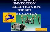 Inyección Electronica Diesel Riel Común