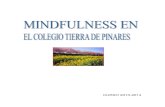 Programa Mindfulness