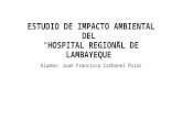 Estudio de Impacto Ambiental Del Hospital Regional Lambayeque