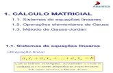 1. Int. Cálculo Matricial.pdf