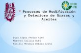 Procesos de Modificación y Deterioro de Grasas y Aceites- Díaz López Aimé, Morones Galicia Rubí , Rosillo Mendoza Debora