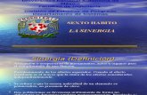 Sexto Habito, La Sinergia, Jose Luis Rodriguez, 2206-1
