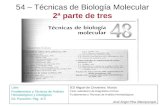 54 Biol Molecular 2de3(DP19-37) PCR