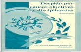 Despido Por Causas Objetivas y Disciplinarias - Víctor Manuel Ardon a.