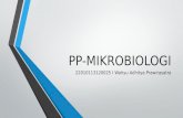 PP Mikrobiologi