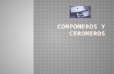 6) Compomeros y Ceromeros