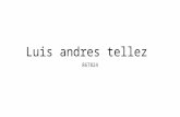 Luis Andres Tellez Estibas
