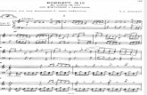 concierto para piano y orquesta W.A. Mozart #13