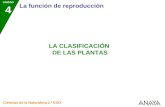 2CN 59 2P Clasifplantas