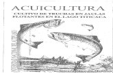 Acuicultura Cultivo de Truchas en Jaula--belisario Mantilla