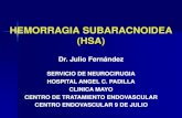Hemorragia Subaracnoideas Aneurisma Cerebral