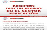 Régimen Disciplinario en el Sector Educación.ppt