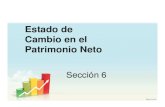 Estado del Patrimonio Neto (Sección 6).pdf