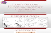 Cirugía II Expo de CA de Cabeza de Páncreas, Ampuloma, Colangiocarcinoma y Tumores de Duodeno