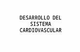 Desarrollo Del Sistema Cardiovascular