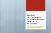 CLASE Control Movimientos Supraespinales CORTEZA MOTORA