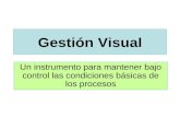 Gestión Visual - 5S