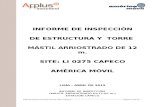 Informe de Inspeccion Estructural - Capeco