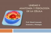 Unidad II Anatomia Y Fisiología de La Celula