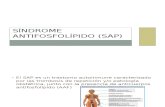 Síndrome Antifosfolípido (SAP)