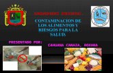 Contaminac de los Aliments Y Riesgos para la Salud.ppt