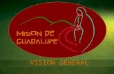 Mision de Guadalupe Presentacion2011 Ret Prov