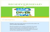 Bio Divers i Dad ppt