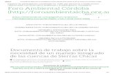 Documento de Trabajo Sobre La Necesidad de Un Manejo Integrado de Las Cuencas de Sierras Chicas _ Foro Ambiental Córdoba