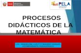 Procesos Didacticos Matematica 2015