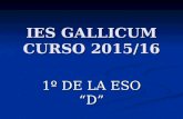 Ies Gallicum Presentacion Alumnos