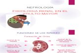 Nefro - Fisiologia Renal