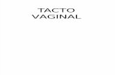 Tacto Vaginal Edicion 002