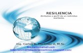 Resiliencia: Atributos y Perfil de un individuo Resiliente