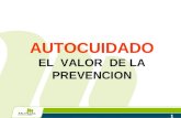 Autocuidado el Valor de la Prevención de Riesgos 2005_Carolina.ppt