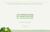 Produccion de habichuelas en el marco del DR CAFTA