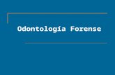 odontologa-forense-1216695482852376-9 (1)