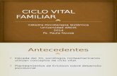 Clase Ciclo Vital